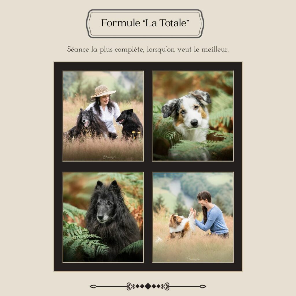 Séance formule LA TOTALE