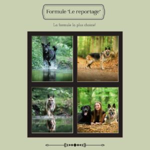 Séance formule REPORTAGE