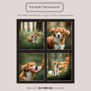 SĂ©ance formule DĂCOUVERTE