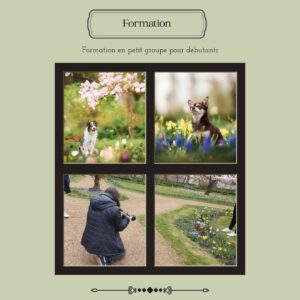 Formation en petit groupe -  15 Mars 2026